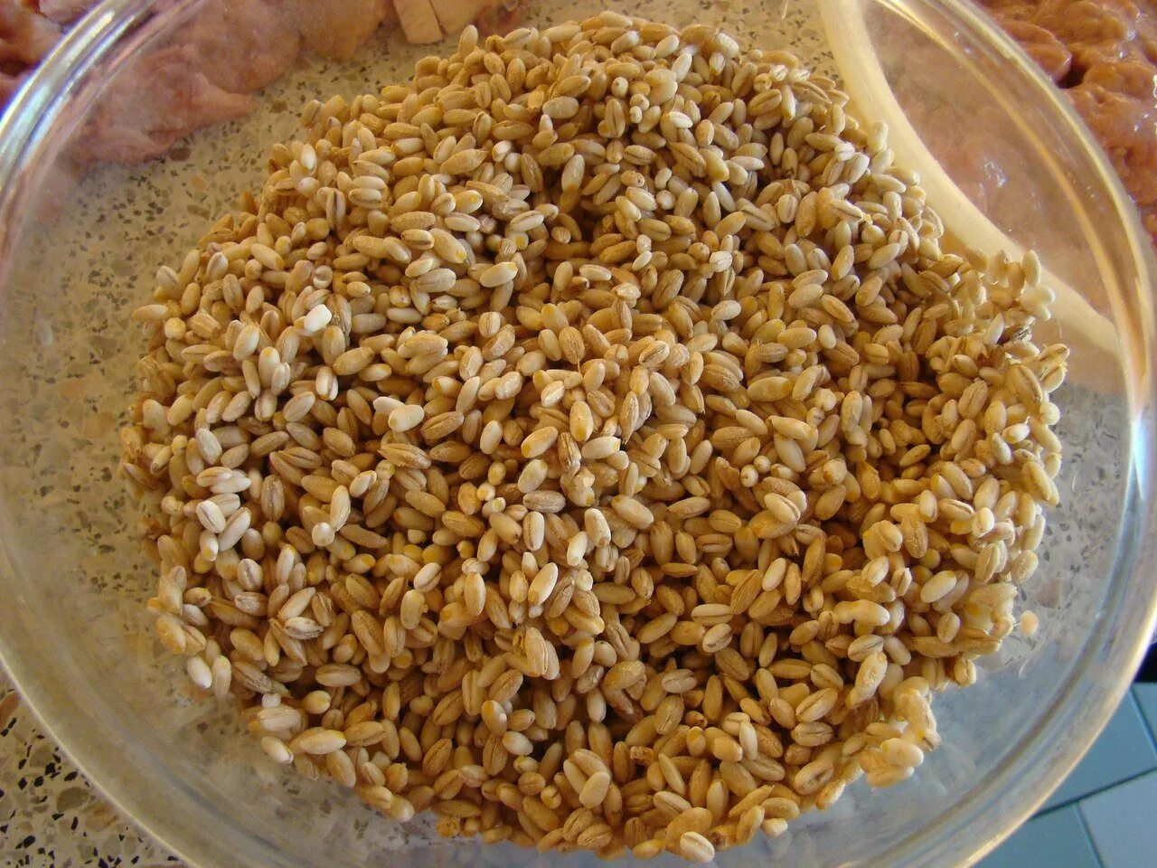 Овес курицам. Перловая каша. Овес для курей. Перловая крупа нешлифованная. Можно ли курам перловку.