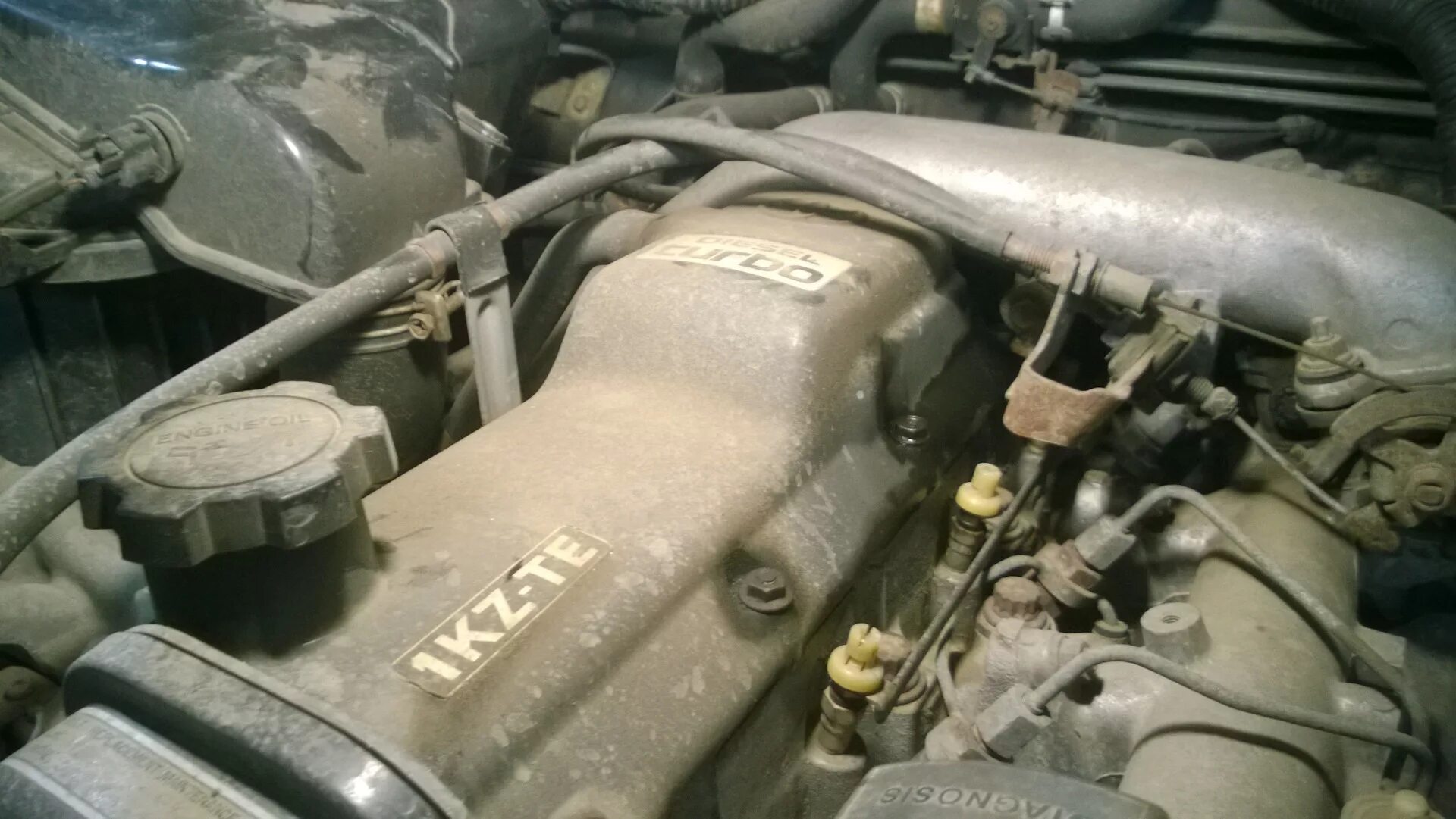 Прадо 95 1kz te