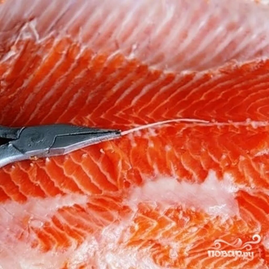 В семге есть паразиты. В семге есть паразиты. В семге есть паразиты. Личинки нематод рода anisakis. В семге есть паразиты.