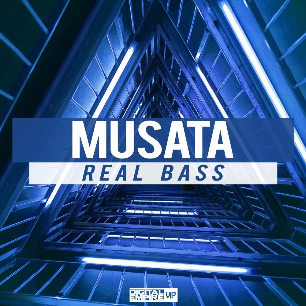 Реал бас 3. Musat nolobka. Real bass