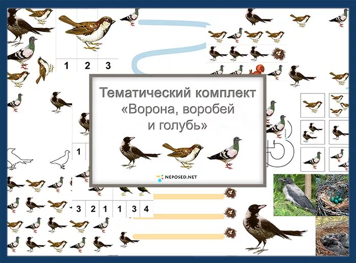 Комплексная работа голуби 3 класс. Занятие птицы. Птицы занятие для дошкольников. Перелетные птицы для дошкольников. Городские птицы задания для дошкольников.