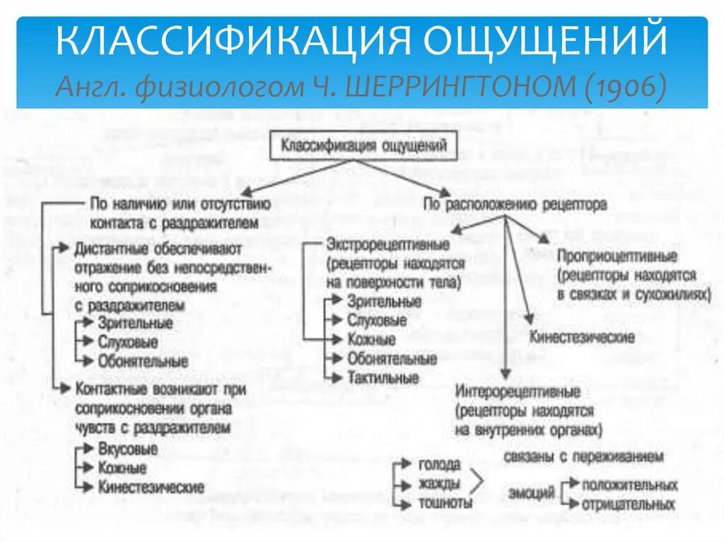 Привести пример ощущения. Виды ощущений классификация по Шеррингтону. Классификация ощущений и рецепторов. Классификация ощущений в психологии. Ощущения и восприятие схемы в психологии.