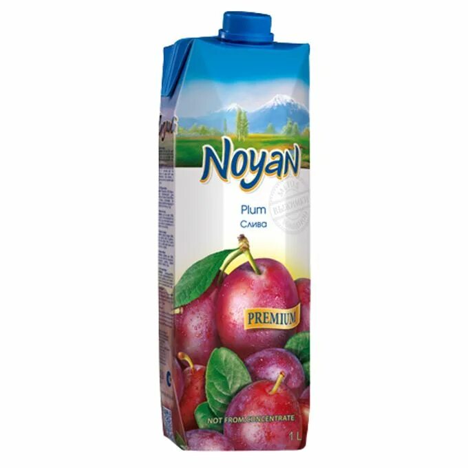 Нектар Noyan слива, с крышкой. Мультифрукт нектар Ноян 0.2 л. Сливовый сок. Сок сливовый 3л. Premium plums tg