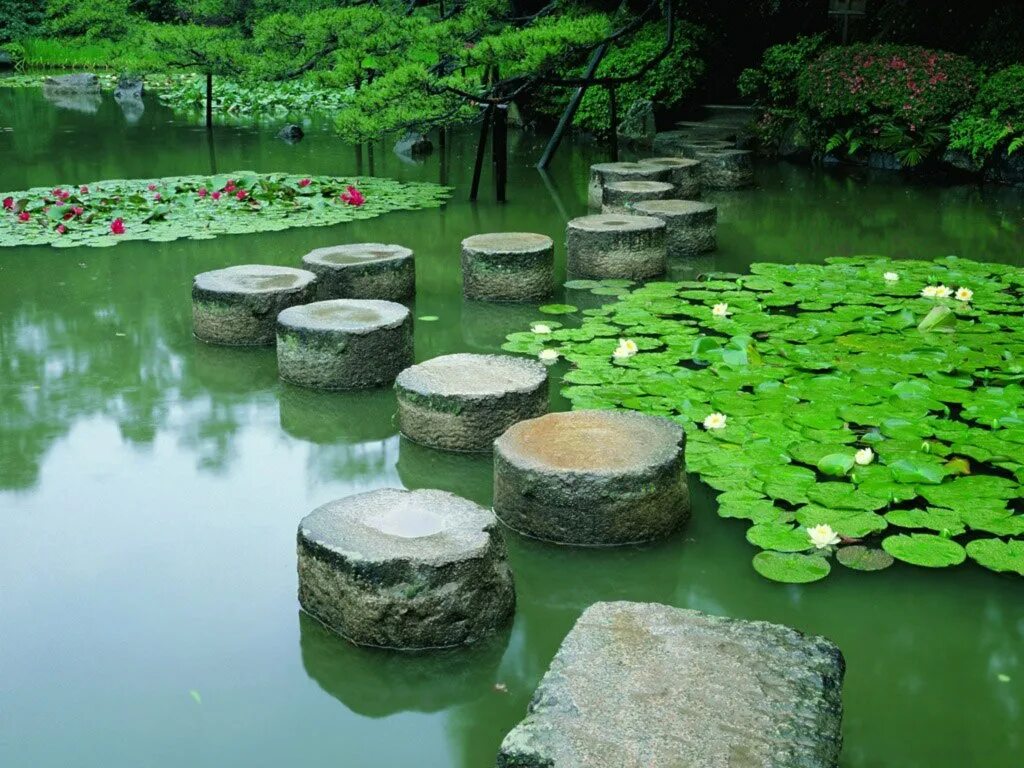 Японский пруд. Лотосовый пруд Япония. Японский сад цубо с прудом. Пруд в саду Япония. Прудик в Японии.