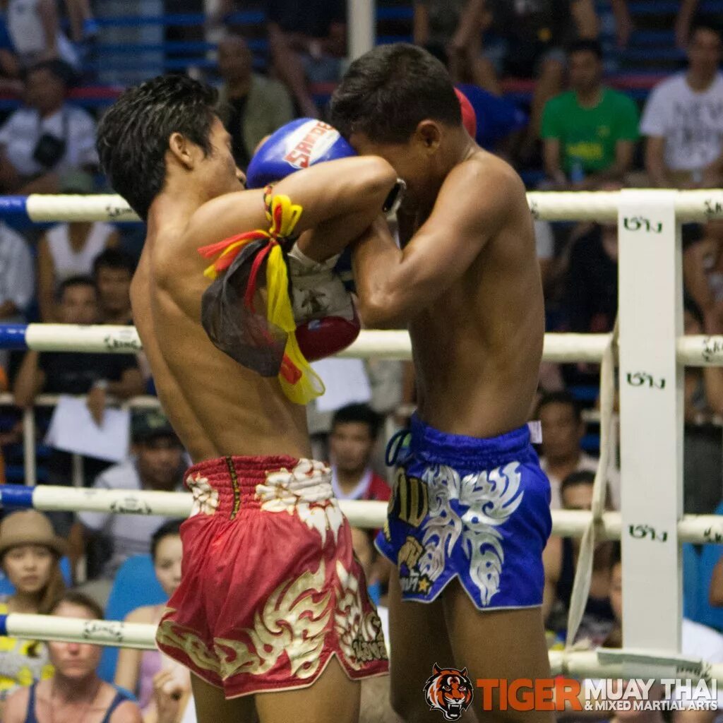 Muay Thai Fighter. Тайгер Муай Тай Пхукет. КМС Муай Тай. Тайгер муай