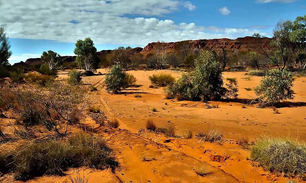 малая песчаная пустыня в австралии. малая пустынь. пустыни большой и малый нефуд. малая пустынь. пустыни аравийского полуострова.