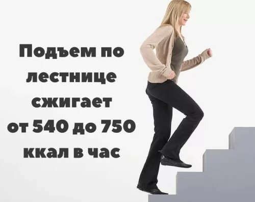 Сколько калорий сжигается при подъеме по лестнице. Подъем по лестнице калории. подъем по лестнице ккал. подъем по ступенькам калории. сколько калорий тратится на подъем по лестнице.