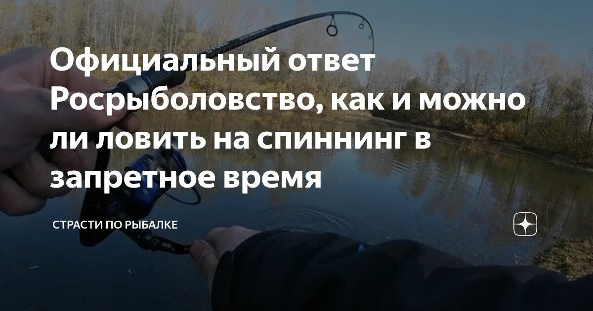 Можно ловить спиннингом в нерестовый запрет. Нерестовый запрет ловля на спиннинг. Нерест запрет на спиннинги. Можно ли ловить на спиннинг в нерестовый запрет. Когда запрет ловить спиннингом.