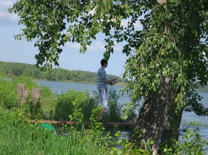 Лог алтайский край