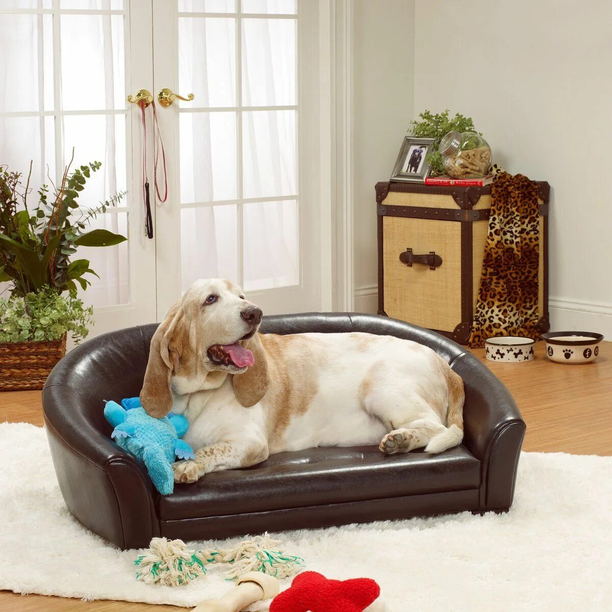 Pets at home. Кровать для животных. кровать для животного высокая. home pet spa. pets in home.