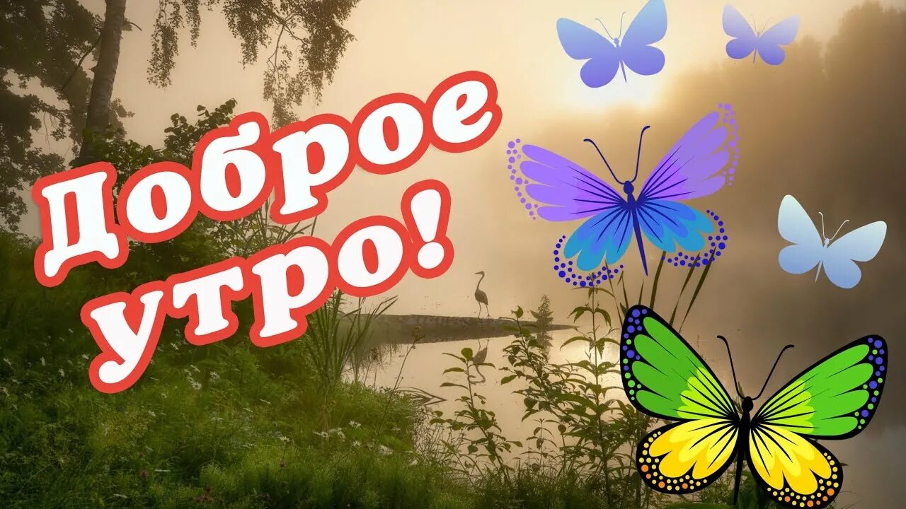 Доброе утро без войны