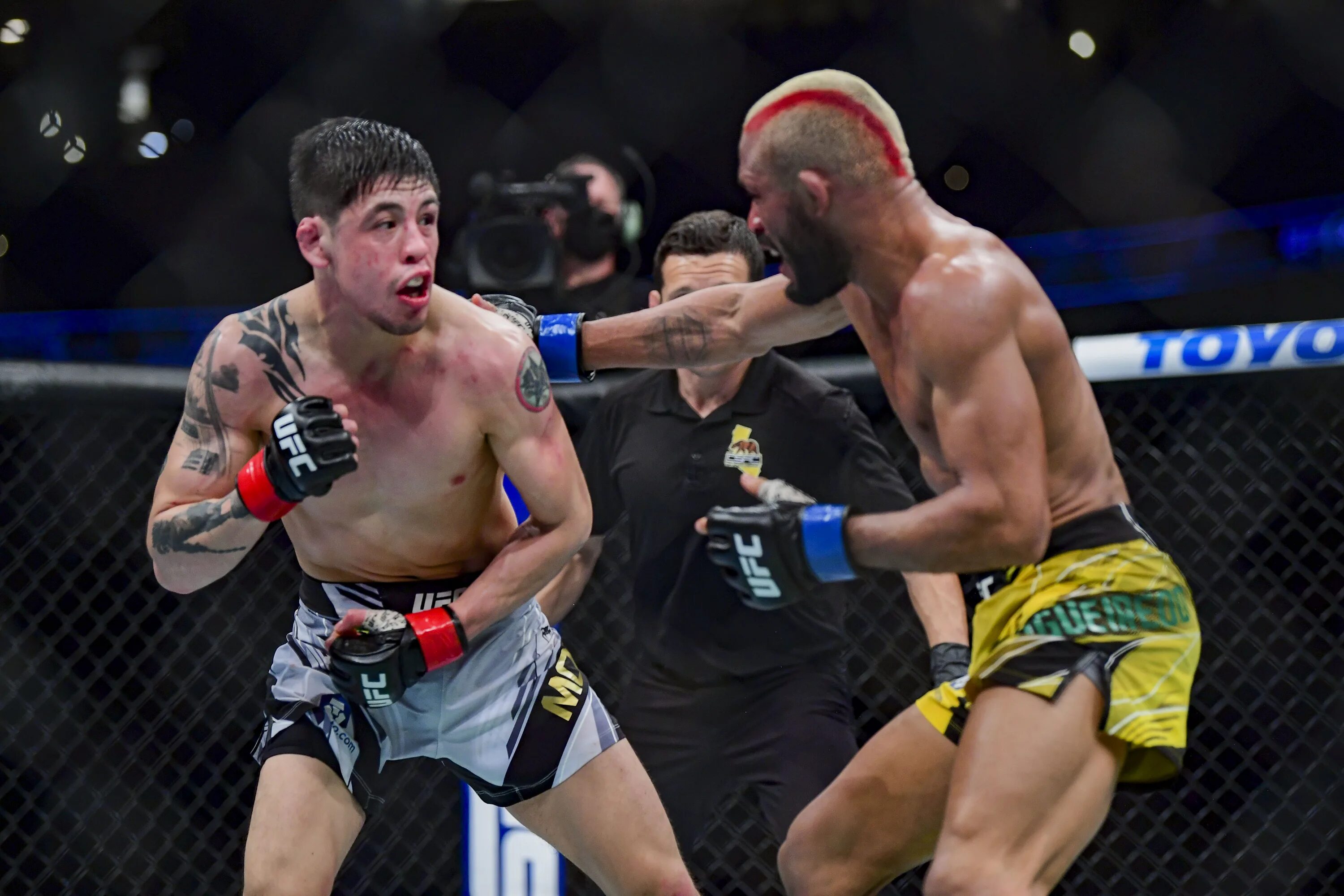 Бои ufc трансляции