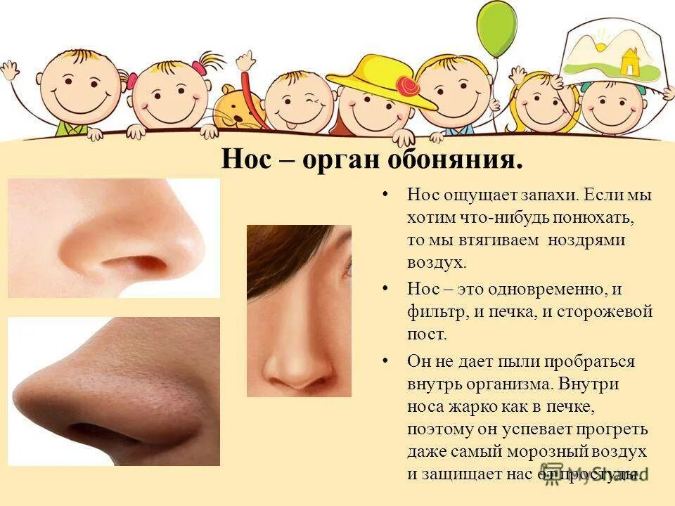 Обоняние текст. Нос обоняние. Нос орган обоняния. Презентация на тему нос. Органы чувств человека нос.