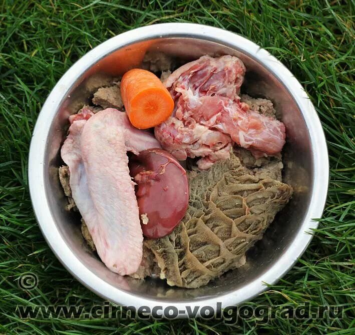 Можно ли давать собаке вареное мясо
