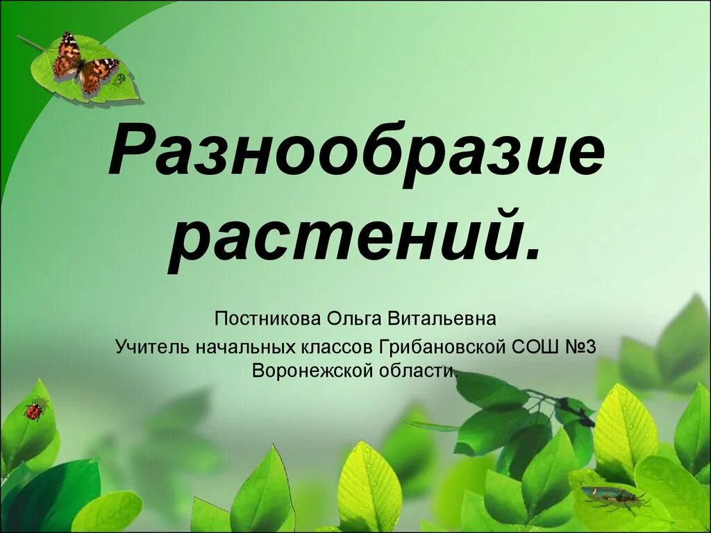 Открытое многообразие. Разнообразие растений. Разнообразие растений слайд. Тема разнообразие растений. Разнообразие растений окружающий мир.