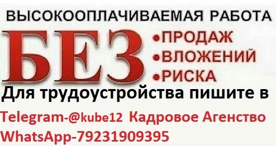 Работа в Салавате центр занятости. Читатель работа Балаково. Работа в Балаково свежие вакансии. Объявления хх ру работа