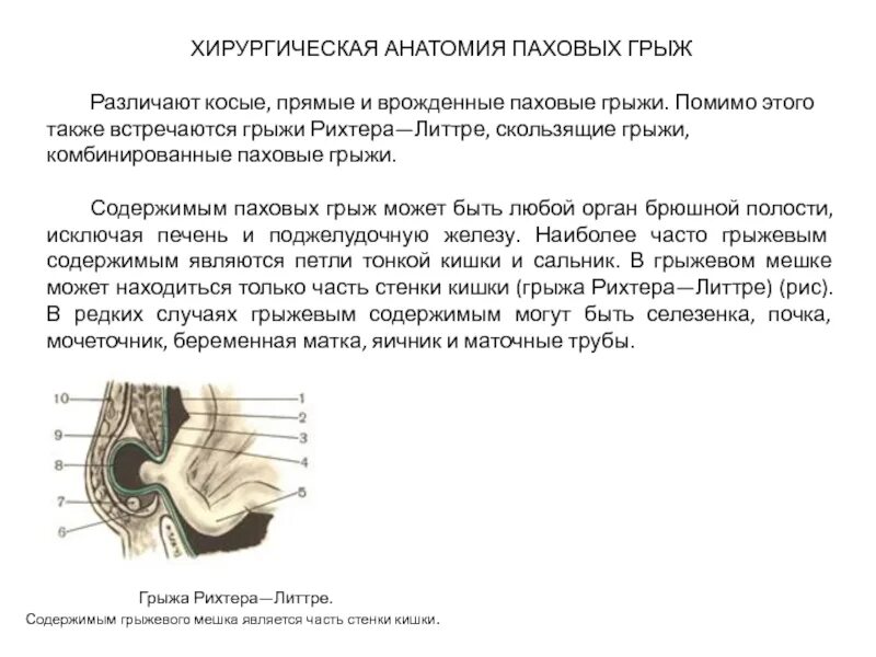 Хирургическая анатомия паховых грыж. Косая паховая грыжа анатомия. Топография косой паховой грыжи. Косая паховая грыжа хирургическая анатомия. Прямая и косая паховые грыжи