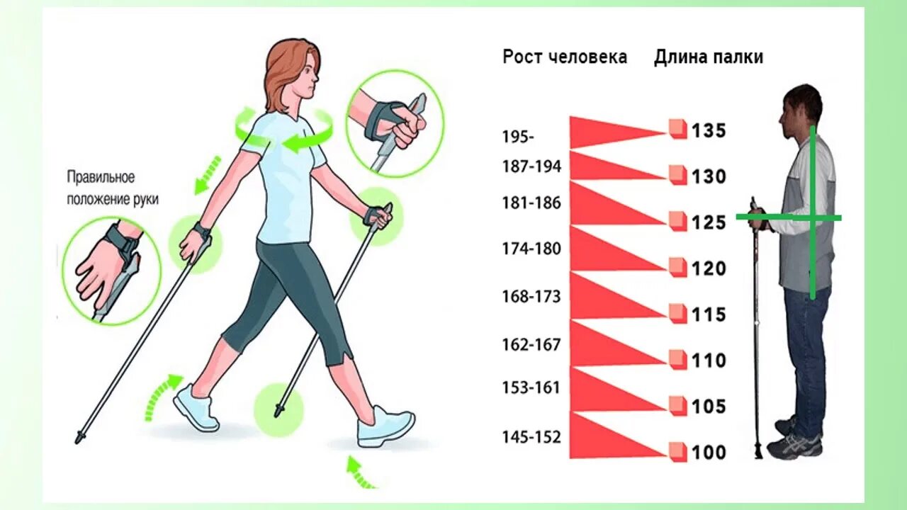 Облегчить ходьбу. Методика скандинавской ходьбы для начинающих. Инструкция по скандинавской ходьбе с палками для начинающих. Скандинавская ходьба с палками техника ходьб. Правила ходьбы со скандинавскими палками для начинающих.