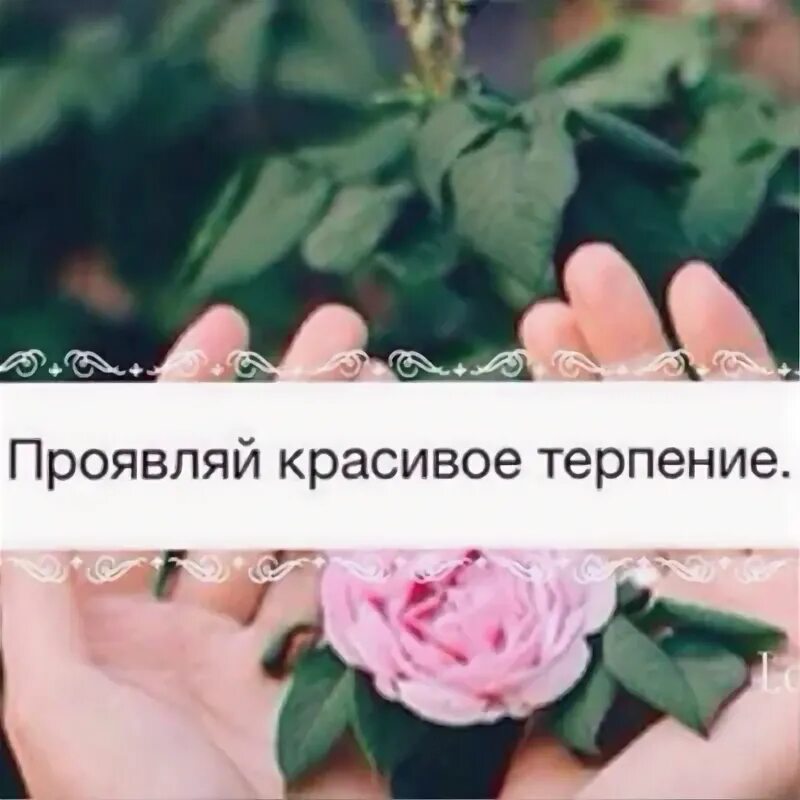 Прояви же красивое терпение картинки. Проявите красивое терпение. Прояви красивое терпение. Прояви же красивое терпение картинки. Терпение на исходе.