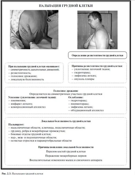 Осмотр пальпация молочной железы алгоритм. Осмотр и пальпация грудной клетки пропедевтика алгоритм. пальпация грудной клетки пропедевтика. пальпация грудной клет. пальпациягиудной клетки.