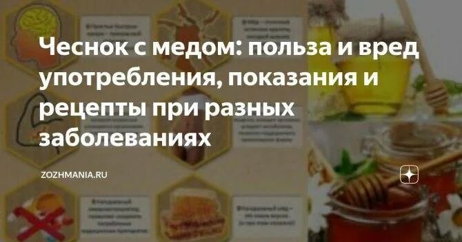 Мед +чеснок на голодный желудок. Мёд с чесноком польза и вред. Мёд с чесноком польза и вред для организма человека. Чеснок и мёд для лечения печени. Мед с чесноком польза