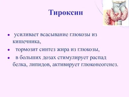 Всасывание глюкозы в почках