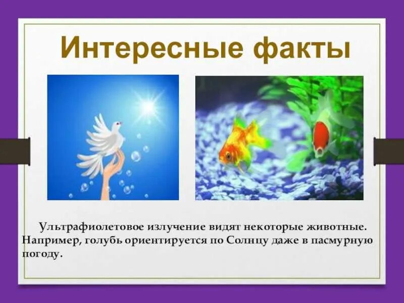 Ультрафиолетовое излучение интересные факты. Интересные факты физики. физика необычные факты. инфракрасное излучение интересные факты.