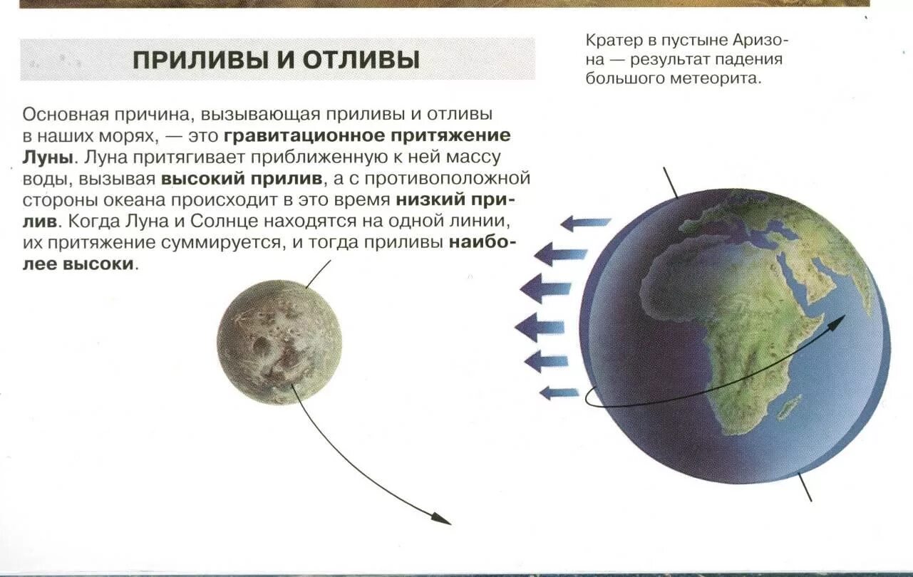 Приливы воды на луну. Приливы и отливы Луна. Луна приливы и отливы на земле. Схема приливов и отливов на земле. Луна влияет на приливы и отливы.