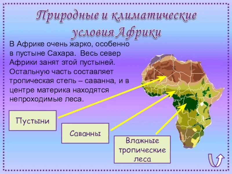 Природные условия Африки. Климатические условия Африки. Характеристика природных условий Африки. Природные условия материка Африка.