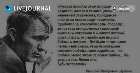 Шукшин любовь к родине