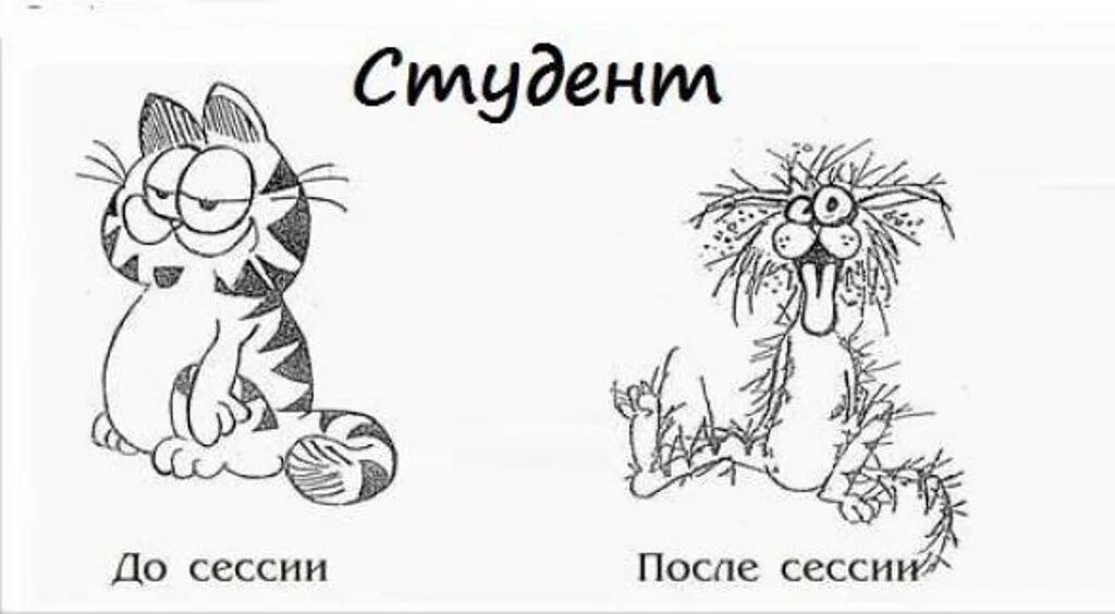 После летней сессии. Студент до и после сессии. Сессия смешные картинки. До сессии после сессии. Картинка до сессии и после.