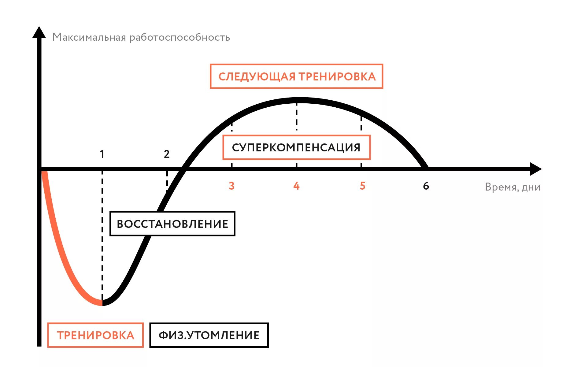 Достижения максимального эффекта. Суперкомпенсация в спорте это фаза. Фаза восстановления мышц после тренировки. Фазы восстановления суперкомпенсация. Принцип суперкомпенсации в тренировочном процессе.