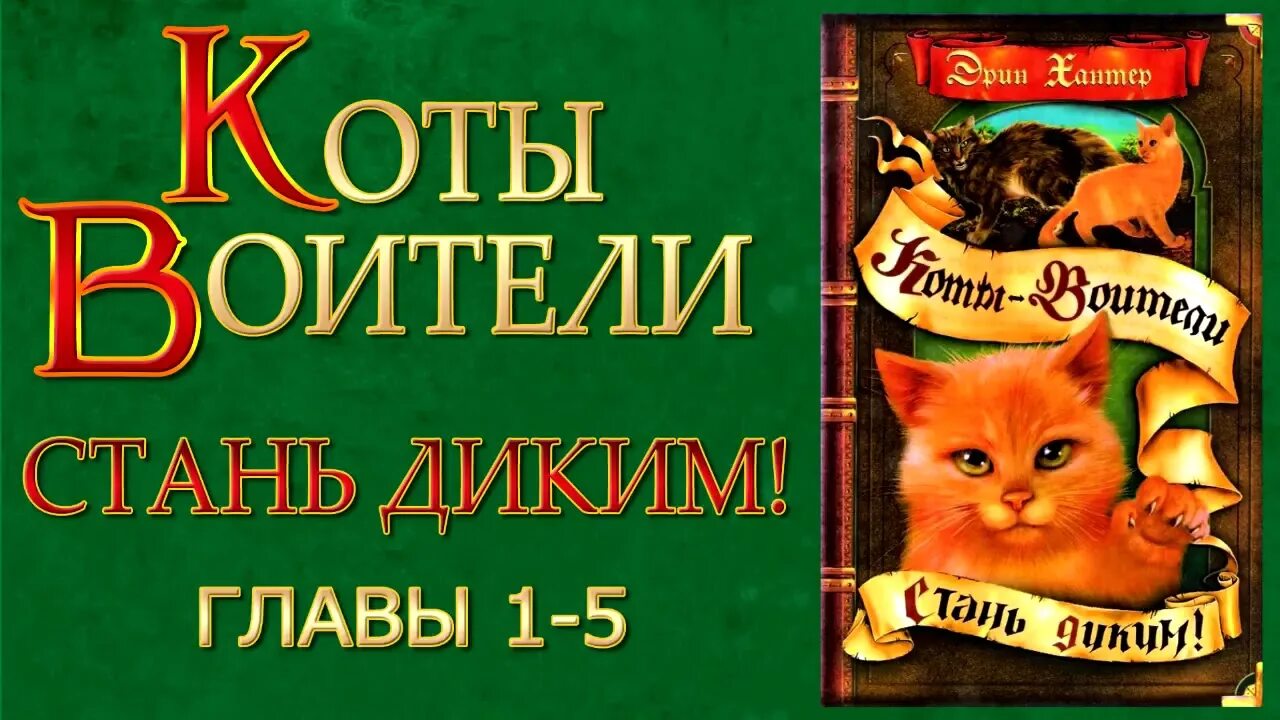 Книга коты Воители Стань диким. Коты Воители Стань диким книжка. Коты-Воители Эрин Хантер книга. Коты Воители 1 книга Стань диким. Аудиокниги кот который