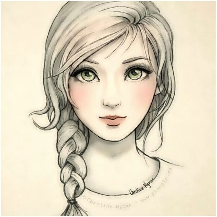 Draw user