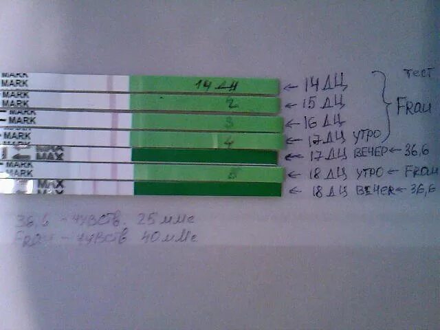 Тест 25 минут. Фраутест 15 ММЕ/мл 12дпо. Тест на беременность фраутест 15 ММЕ/мл. Тест на беременность 15 ММЕ/мл покажет беременность. Тест на беременность с чувствительностью 15 ММЕ/мл.