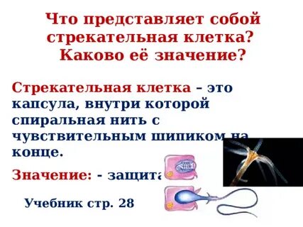 Что значит тараторила без конца