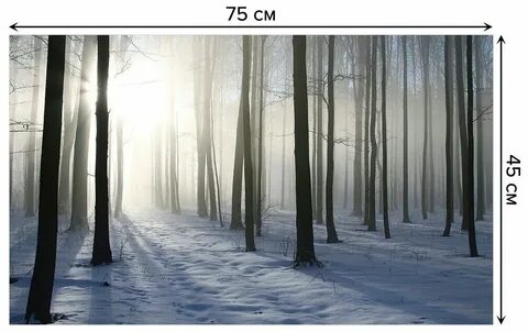 Winter gallery