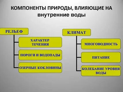 Что не относится к компонентам природы