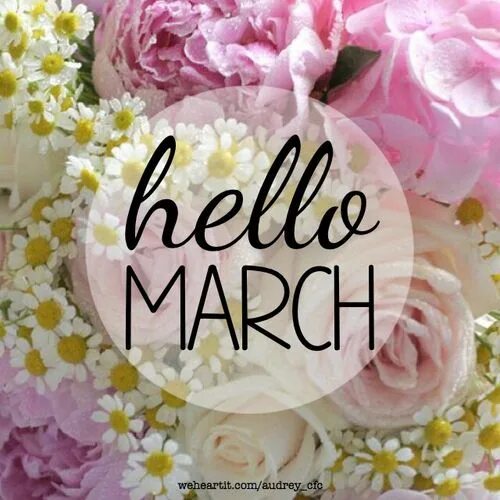 Pictures march. Привет март. Hello March картинки. Hello March hello Spring. Надпись hello March.