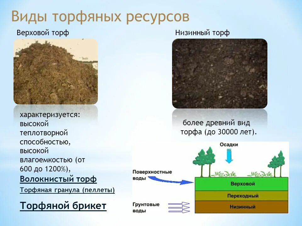 Как понять какая почва