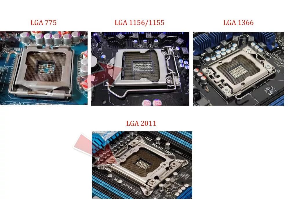 Бюджетные сокеты. Socket lga1156 vs lga775 Size. Сокеты Интел и АМД. Поколения сокетов Интел. Сокет процессора Интел.