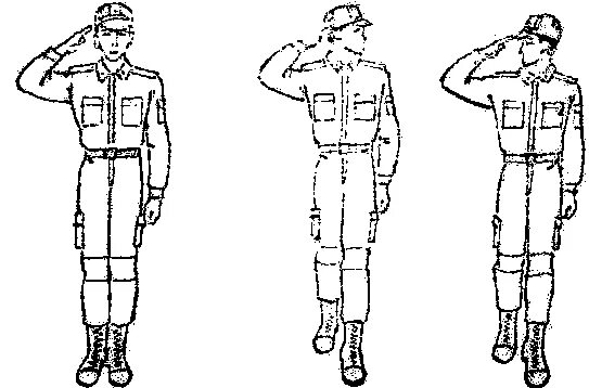 За сколько шагов выполняется воинское приветствие. Воинское Приветствие. Строевые приемы и движение без оружия воинское Приветствие. Строевые движения на месте. Выполнение воинского приветствия вне строя.