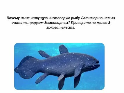 Кистеперая рыба предок земноводных