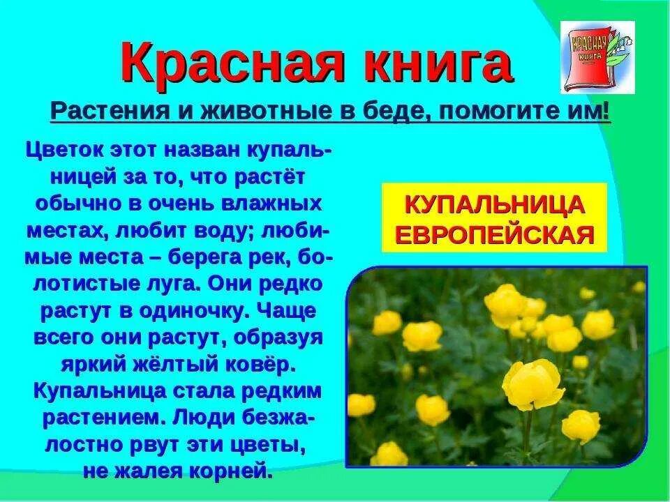 Растения удмуртии описание