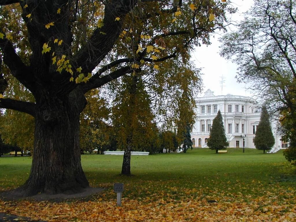 рыльск марьино. рыльск усадьба марьино. дворец-усадьба «марьино» (курская область). курск марьино барятинская усадьба. марьино рыльский район.