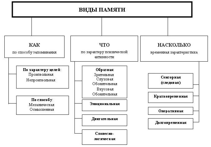 Насколько временно. Схема классификация памяти в психологии. Процессы памяти в психологии схема. Классификация основных видов памяти схема. Классификация видов памяти таблица.