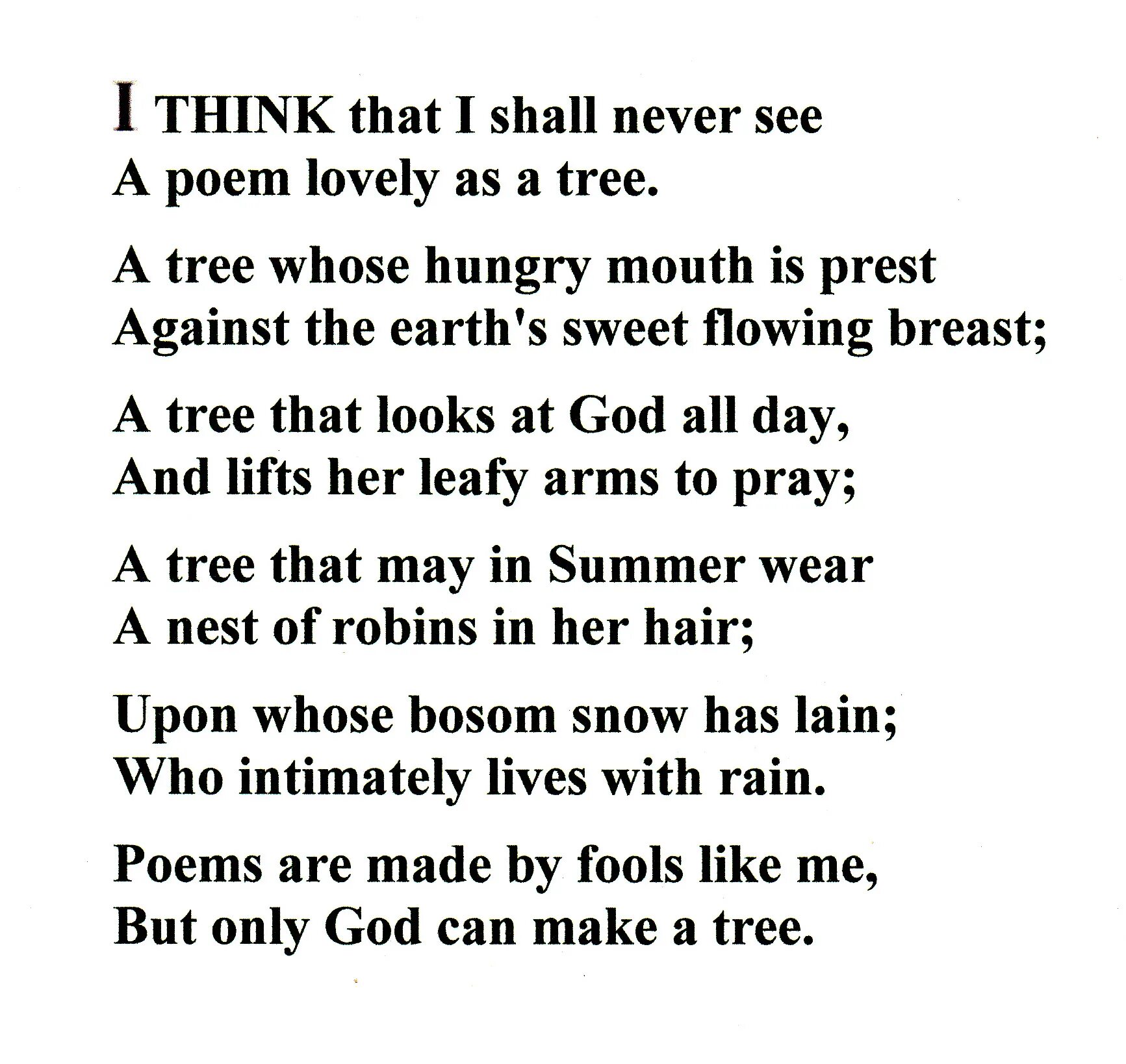 She is the poem. Trees by Joyce Kilmer. Poem Tree. Poem about Trees. Джойс Килмер стихотворение деревья.