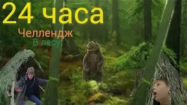 Челлендж в лесу