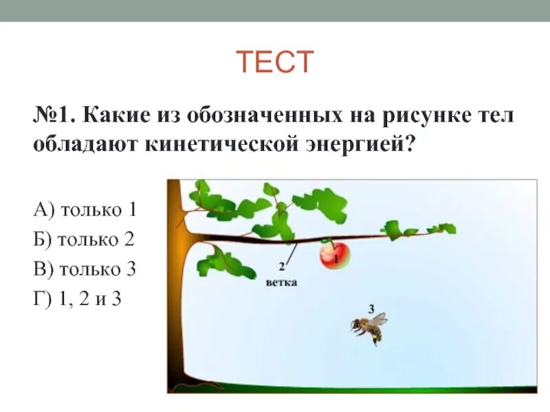 Энергия презентация 7 класс физика. Какие тела обладают кинетической энергией. Какие из обозначенных на рисунке тел обладают кинетической энергией. Какие тела обладают кинетической энергией, обозначенной на рисунке. Какое тело обладает кинетической энергией пример.