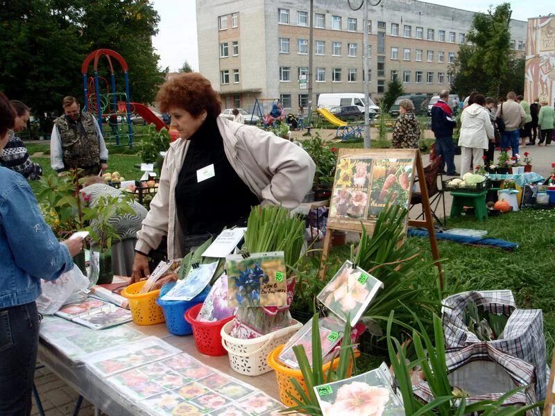 Русский дом выставка цветов. Выставка саженцев. Ярмарка саженцев. Ярмарка выставка рассады. Саженцы в Красноярске ярмарка.